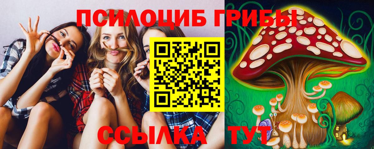 Галлюциногенные грибы MAGIC MUSHROOMS Выборг