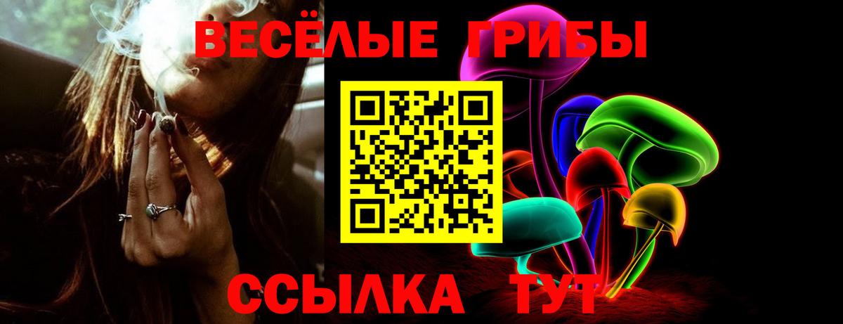 Галлюциногенные грибы прущие грибы  Галлюциногенные грибы ЛСД  Выборг  Вход с VPN 